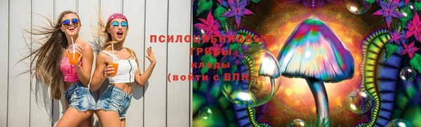 молекула духа Бугульма