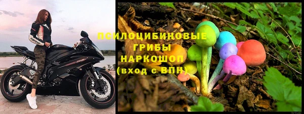 MESCALINE Бородино