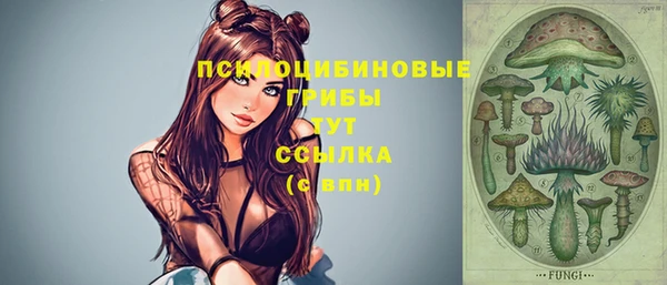 MESCALINE Бородино
